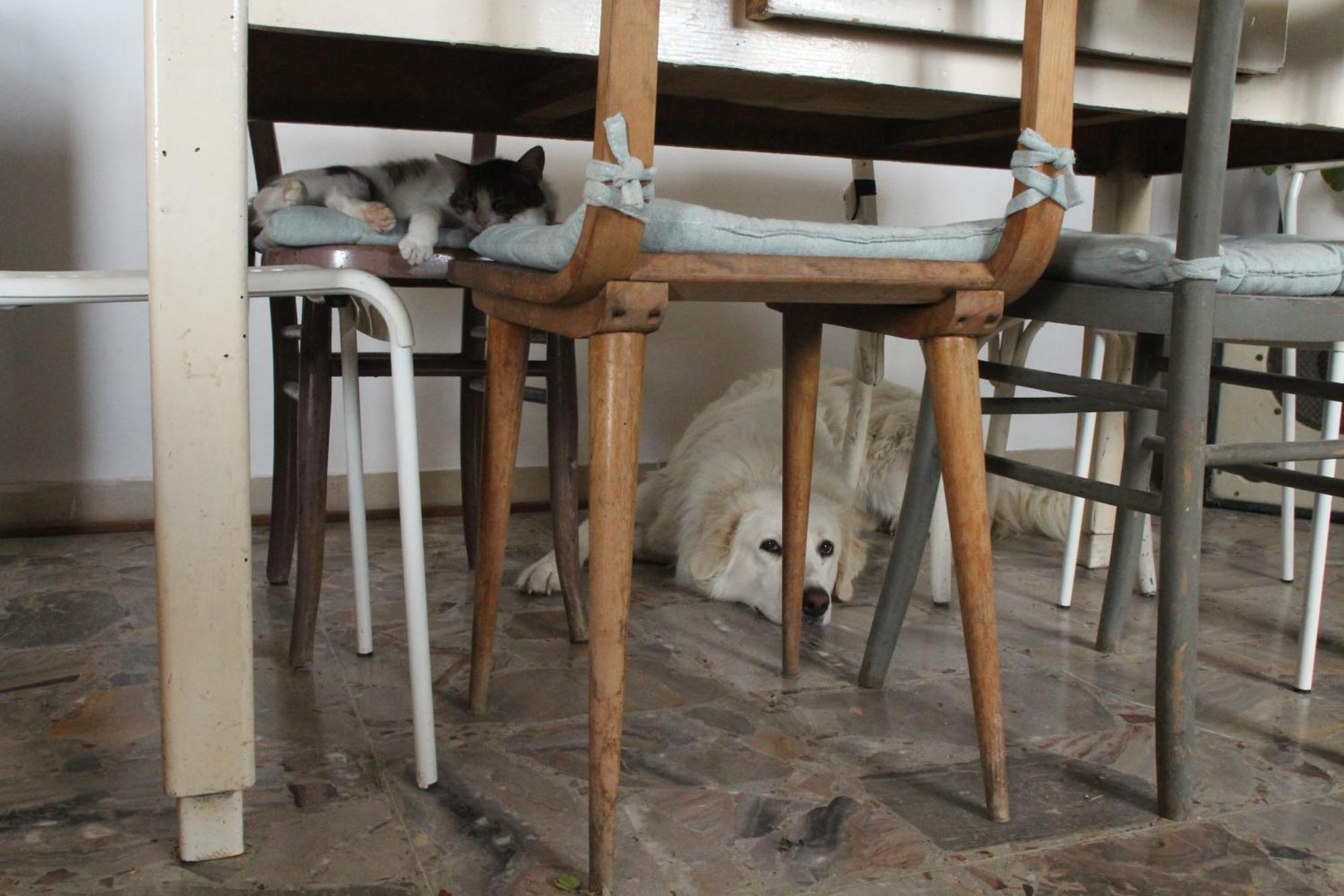 Casa Formica Appartement San Pietro di Recanati Buitenkant foto